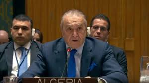 Msbreew pirn she was a real pleasure to