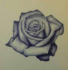 Double bergamot earl grey with cream and sugar. Drawing Traditional Rose Black And Grey Novocom Top