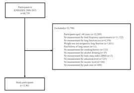 Image result for Lung Function Questionnaire