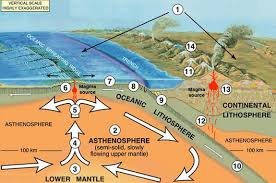 It was one of three locations selected in interior alaska at the time. 68 I M A Survior Of The 1964 Earthquake Ideas Earthquake 1964 Alaska Earthquake Alaska