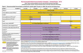 7 Recommended Vaccinations For Adults According To Ph