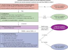 Image result for CAM-ICU