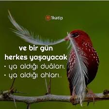 Ayet Corek Otu Yagi Com Notitle Ilham Verici Alintilar Ilham Veren Alintilar Guzel Soz