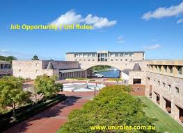 Pin On Research Roles