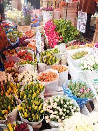 The Columbia Road Flower Market Is A London Staple And Just A Stone S Throw Away From The Hoffman A Columbia Road Flower Market Flower Market Seasonal Flowers