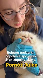 Brakuje niecałe 3 tysiące! Ogromne koszty leczenia