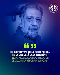 📸🚨El panista Federico Döring arremete contra la 4T tras la imagen del  bebé con un garrafón en la cabeza en un hospital de Macuspana: “Esa es la  realidad de Dinamarca de Morena.
