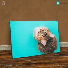 قطة لطيفة صغيرة تنظر اليك Painting Art