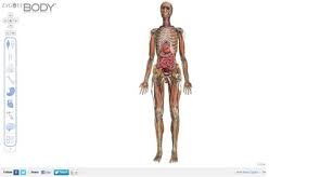 Review See Human Anatomy In 3d With Zygote Body Pcworld Machinimania Human Anatomy Human Body