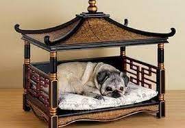 the place for pet people cuteness dog bed pet bed pet beds