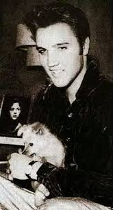 35 Elvis & Some Very Good Doggos ideas