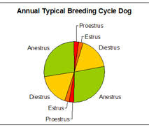 Breeding Cycle Dog Facts The Dog Breeding Heat Cycle