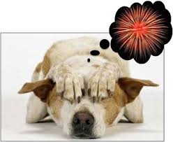 Dogs and fireworks often don't mix, and the results can be disastrous. Dogs And Fireworks 10 Tips To Keep Your Dog Safe And Calm On July 4th