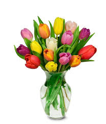 Our low prices on tulips are appealing to landscapers, schools, and municipalities looking for bulk tulips at wholesale prices. Rainbow Tulip Bouquet 15 Stems At From You Flowers