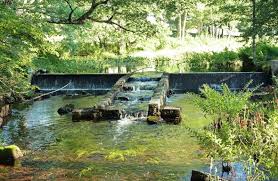 B50c8177044964afd018f08cd84067bc Jpg 1 600 1 044 Pixels Natural Pond Natural Swimming Pools Natural Pool