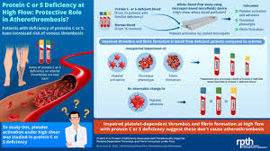 Image result for Protein C Deficiency