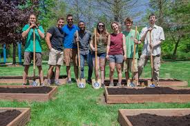 On first year ground breaking, heavy discs seem to chop up the grass and roots better. Campus Members Break Ground On Demonstration Garden Gvnext