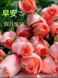 65 假日愉快ideas