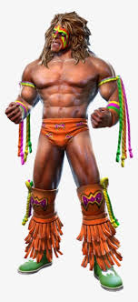 The ultimate collector's series, or ucs, is a subtheme of sets, mainly for star wars although it can be used for different themes. Ultimate Warrior Wwe Ultimate Warrior Png Image Transparent Png Free Download On Seekpng