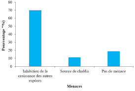 Image result for Sericostachys