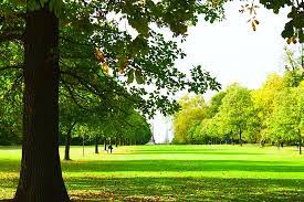 The land belonged to westminster abbey in the middle ages but was taken over as a hunting ground by henry viii in 1536 when it became a royal park. Hyde Park London Picture Of London England Tripadvisor