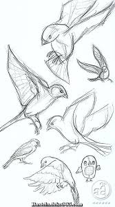 Ausgezeichnet Vogelzeichnung Ideen Zu Handen Neuling Kommen Sie Meinen Youtube Sender Um Dasjenige Zeichnen Zu Lern Animal Sketches Sketch Book Bird Drawings 99 insanely smart, easy and cool drawing ideas to pursue now.