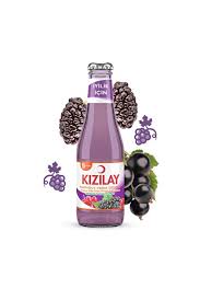 KIZILAY MADEN SUYU KARADUT FRENK ÜZÜMÜ 200 ML * 24 ADET
