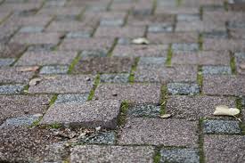 Read on for more steps of how to clean pavers with vinegar. Driveway Sealing Paver Sealing Concrete Sealing Melbourne