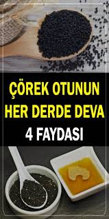 Corek Otunun Her Derde Deva 4 Mukemmel Faydasi Sosyolife Net Corek Otu Gida Yiyecek Ve Icecek