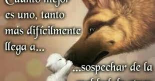 Cuanto Mejor Animals Human Humanity Quotes