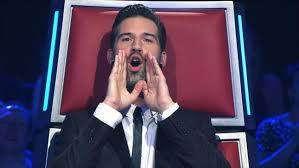 + body measurements & other facts. Welke 2 Talenten Uit Team Sean Stoten Door Naar De Finale Van The Voice Kids Frontview Magazine