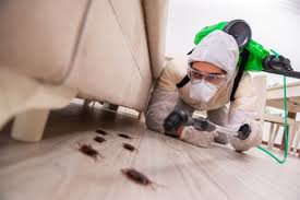 Ellis is consistently polite and prompt. 5 Best Pest Control Companies In Indianapolis