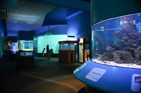 Aquarium and marine museum are synonymous, and they have mutual synonyms. University Malaysia Sabah Aquarium Marine Museum Malaysia Travel Agency Sabah Borneo Travel