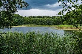 Hier twittert die tmu tourismus marketing uckermark gmbh über und aus der #uckermark, zum #tourismus und #ländlicherraum. Die Schonsten Sehenswurdigkeiten In Der Uckermark