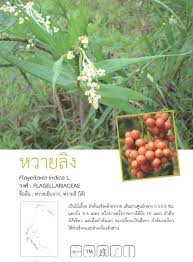 We did not find results for: à¸ž à¸™à¸˜ à¹„à¸¡ à¸› à¸²à¸Šà¸²à¸¢à¹€à¸¥à¸™ à¸£à¸°à¸šà¸šà¸à¸²à¸™à¸‚ à¸­à¸¡ à¸¥à¸—à¸£ à¸žà¸¢à¸²à¸à¸£à¸—à¸²à¸‡à¸—à¸°à¹€à¸¥à¹à¸¥à¸°à¸Šà¸²à¸¢à¸ à¸‡ à¸à¸£à¸¡à¸—à¸£ à¸žà¸¢à¸²à¸à¸£à¸—à¸²à¸‡à¸—à¸°à¹€à¸¥à¹à¸¥à¸°à¸Šà¸²à¸¢à¸ à¸‡