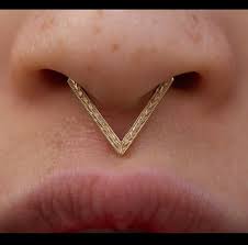 Like other barberry bushes, this cultivar's stems have tough, sharp. Rose Gold Sf Septum Jewelry Septum Piercing Jewelry Nose Jewelry