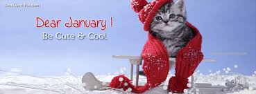 Check spelling or type a new query. Bn January Store Home Facebook