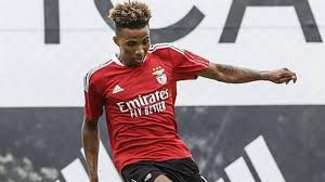 No news from man united's camp. The Ball We Have An Agreement With Gedson But There Was A Revolution In Benfica Galatasaray World Today News