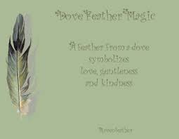 Birds Of A Feather Saying Dove Feather Magic Feather Magic Magick Feather Meaning