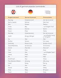 Learn German Dog Commands Easily Steemit