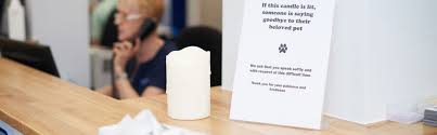 Cost of home pet euthanasia depends on which option you choose for body care afterwards. End Of Life O Reilly Fee Veterinary Surgery