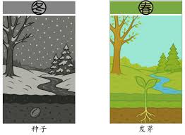 吴宝林| 时间防病养生：抗衰老的重要功能– 環球網-環球新聞報