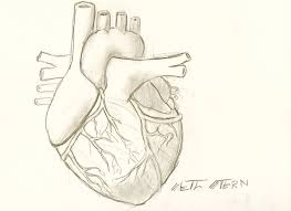 How do you make a 3d. Easy Heart Pencil Diagram Novocom Top