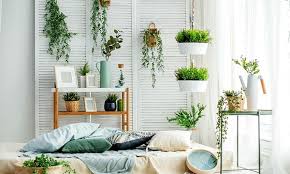 Cactaceae, las cactáceas, son conocidas en conjunto como cactos, cactus o cacti. Las Plantas Que Debes Tener En Tu Hogar Para Atraer Energia Positiva