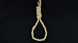 How to Tie a Noose: 10 Steps (with Pictures) - wikiHow