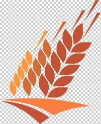 Agriculture Computer Icons Field Wheat Illustration Png Angle Artwork Autu Autumn Botany Computer Icon Illustration Stencil Art