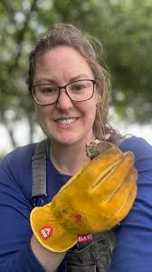 We've started the process of pinching our dahlias over the past week. If  you're new to growing dahlias this means we snap out the central growth tip  of the plant to encourage