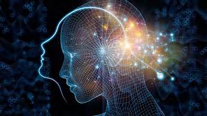 Nueva revolución en las teorías científicas sobre el origen de la  consciencia - El Extremo Sur