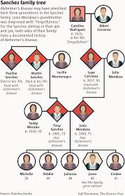 See more ideas about family tree, genealogy, family tree chart. Alzheimer S Disease Genetics Flow Through Colorado Family S Generations