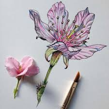27 Tips For Drawing Flowers Plants Nature Digital Arts In 2020 Flower Drawing Nature Drawing Flower Art This tutorial is perfect for all art enthusiasts.